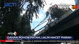 Pohon Tumbang, Lalu Lintas Macet Panjang