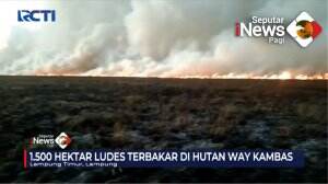 Hutan Way Kambas Terbakar