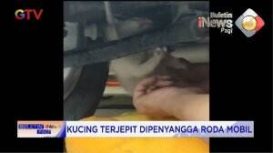 Evakuasi Kucing Dalam Roda Mobil