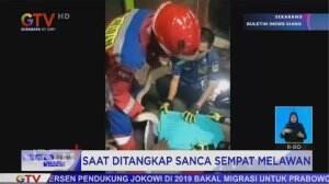 Waspada! Ular Masuk Permukiman