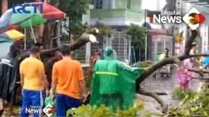 13 Pohon Tumbang Timpa Kios Pedagang Dan Rumah Di Malang