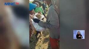 Bayi Laki-Laki di Pinggir Jalan