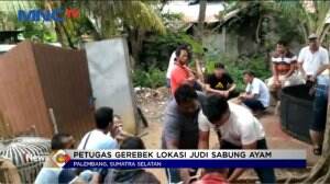 Penggerebekan Judi Sabung Ayam