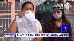 Buntut Panjang Perkelahian Anjing