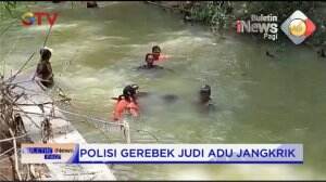 Polisi Gerebek Adu Jangkrik