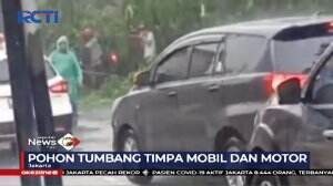 Hujan Deras Di Sertai Angin Kencang Mengakibatkan Pohon Tumbang Serta Menghantam Sebuah Mobil Dan Motor