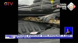 Evakuasi Ular Dari Mesin Mobil