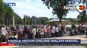 Antre Minyak Goreng