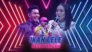 Ikan Lele Kesayangan - 1 Minute The X