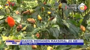 Harga-Harga Naik IRT Menjerit