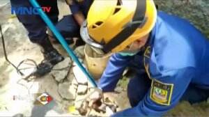 Evakuasi Seekor Kucing Yang Masuk Pompa Air Berlangsung Dramatis