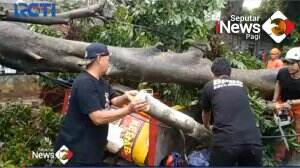 Angin Topan Di Sentul Bogor