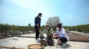 Begini Cara Buat Terasi - HSB Eps. 156