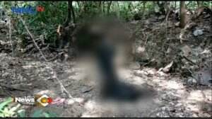 Sesosok Jasad Laki-Laki Ditemukan di Tengah Hutan