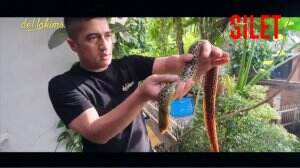 Kebun Binatang Mini Ala Artis