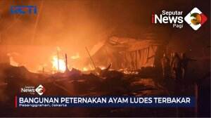 Peternakan Ayam Terbakar