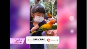 Serunya Fara Shakila Nikmati Liburan
