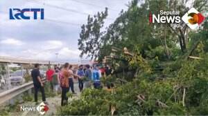 Tutup Akses Tol Keluar Karena Pohon Tumbang