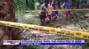 Warga Temukan Bayi di Kebun Sawit Pandeglang, Banten