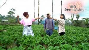 Mengenali Jenis-Jenis Strawberry - HSB Eps. 190