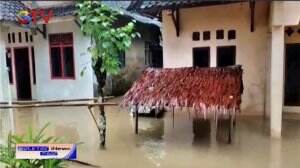 Musibah Banjir, Ratusan Rumah Dan Tanaman Padi Rusak Terendam Banjir