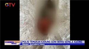 Polisi Gerebek Tempat Penjagalan Kucing