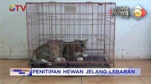 Penitipan Hewan Jelang Lebaran