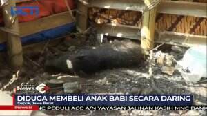 Hoax Babi Ngepet di Depok