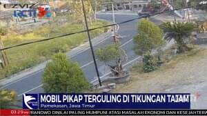 Mobil Pickup Terguling Di Tikungan Tajam