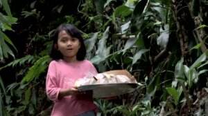 Salwa Membantu Ibunya Berjualan Nasi Uduk Dan Gorengan