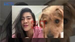 Serunya Felicya Main Dengan Anjingnya