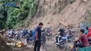 Dua Unit Kendaraan Tertimpa Pohon, Satu Orang Tewas