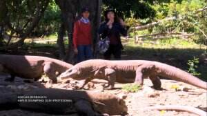 Sensasi Menjelajahi Taman Nasional Komodo  - Travel Addict Eps. 131