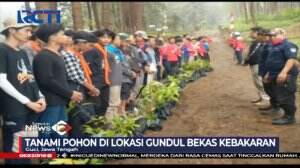 Lintas Pencinta Alam Dari Berbagai Daerah Lakukan Reboisasi di Gunung Slamet