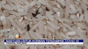 Bantuan Beras Untuk Korban Terdampak COVID-19 Di Karawang Berkutu Dan Bau Apek