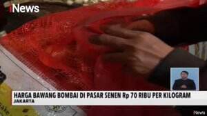 Harga Bawang Bombai di Pasar Senen Mencapai Rp70 Ribu per Kilogram