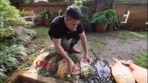 Kesedihan Irfan Hakim: 35 Ekor Ikan Kesayangannya Mati