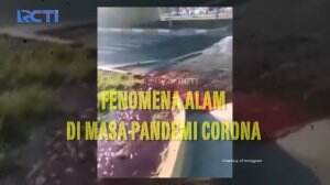 Fenomena Langkah Di Tengah Wabah Covid-19