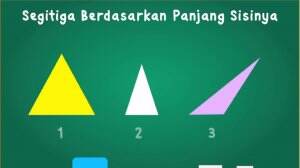 Mengenali Sifat-Sifat Segitiga - Gemar Matematika
