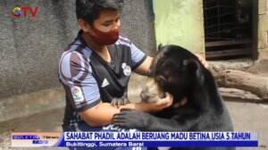 Persahabatan Manusia dan Beruang Usai Terpisah Dari Induknya