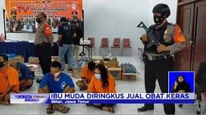 12 Pengedar Narkoba Diringkus Polisi, Satu Diantaranya IRT