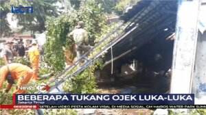 Beringin Tumbang Di Cipinang, Tukang Ojek Luka - Luka