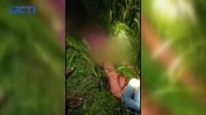 Pasangan Suami Istri Ditemukan Tewas Di Sawah