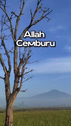 cover-image
