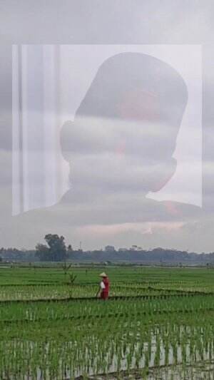 cover-image