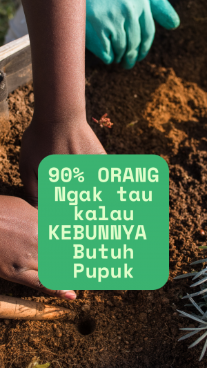 cover-image