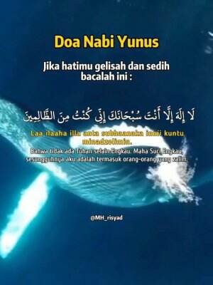 cover-image