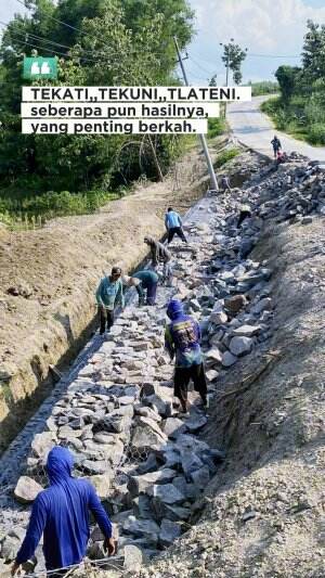 cover-image