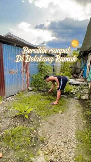 cover-image