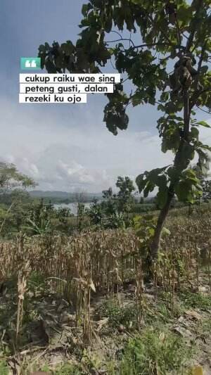 cover-image